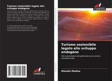 Turismo sostenibile legato allo sviluppo endogeno的封面