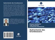 Hydrochemie des Grundwassers的封面