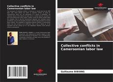Buchcover von Collective conflicts in Cameroonian labor law