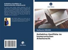 Kollektive Konflikte im kamerunischen Arbeitsrecht kitap kapağı