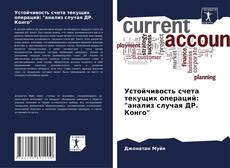 Устойчивость счета текущих операций: "анализ случая ДР. Конго" kitap kapağı