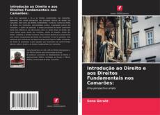 Bookcover of Introdução ao Direito e aos Direitos Fundamentais nos Camarões: