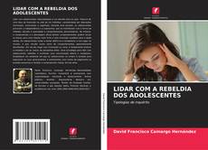 LIDAR COM A REBELDIA DOS ADOLESCENTES kitap kapağı