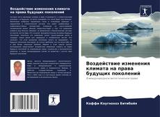 Borítókép a  Воздействие изменения климата на права будущих поколений - hoz