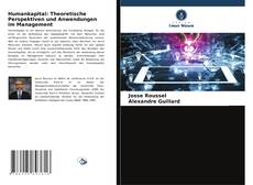 Humankapital: Theoretische Perspektiven und Anwendungen im Management的封面