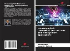 Bookcover of Human capital: theoretical perspectives and management applications