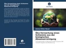 Öko-Verwertung eines Schlamms aus der biologischen Abwasserreinigung kitap kapağı