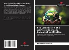 Bookcover of Eco-valorisation of a waste sludge from biological purification