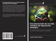 Copertina di Ecovalorización de un lodo residual de depuración biológica