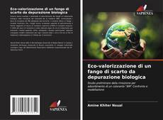 Capa do livro de Eco-valorizzazione di un fango di scarto da depurazione biologica 
