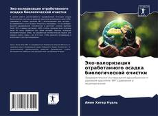 Эко-валоризация отработанного осадка биологической очистки kitap kapağı