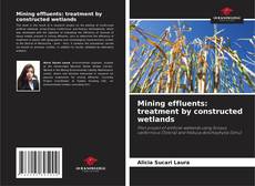 Bookcover of Mining effluents: treatment by constructed wetlands
