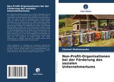 Copertina di Non-Profit-Organisationen bei der Förderung des sozialen Unternehmertums
