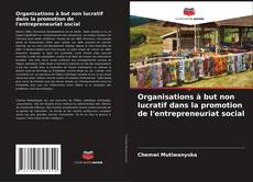 Portada del libro de Organisations à but non lucratif dans la promotion de l'entrepreneuriat social