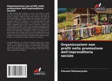 Capa do livro de Organizzazioni non profit nella promozione dell'imprenditoria sociale 