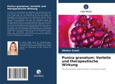Couverture de Punica granatum: Vorteile und therapeutische Wirkung