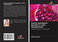 Обложка Punica granatum: benefici e virtù terapeutiche