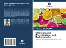 Buchcover von Schätzung des Zitronensäure- und Zuckergehalts,