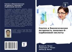 Portada del libro de Синтез и биологическая активность хинолин-4-карбоновой кислоты