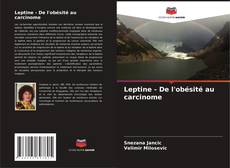 Portada del libro de Leptine - De l'obésité au carcinome