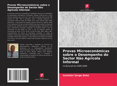 Bookcover of Provas Microeconómicas sobre o Desempenho do Sector Não Agrícola Informal