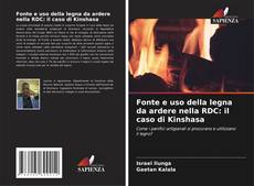 Fonte e uso della legna da ardere nella RDC: il caso di Kinshasa的封面