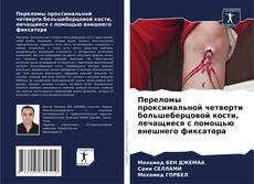 Portada del libro de Переломы проксимальной четверти большеберцовой кости, лечащиеся с помощью внешнего фиксатора