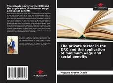 Buchcover von The private sector in the DRC and the application of minimum wage and social benefits