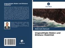 Portada del libro de Ungesättigte Böden und Dilatanz Stabilität