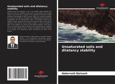 Unsaturated soils and dilatancy stability kitap kapağı