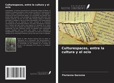 Capa do livro de Culturespaces, entre la cultura y el ocio 