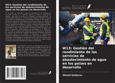 Copertina di W13: Gestión del rendimiento de los servicios de abastecimiento de agua en los países en desarrollo