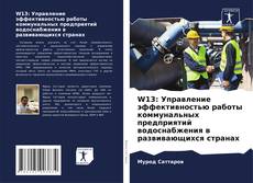 Capa do livro de W13: Управление эффективностью работы коммунальных предприятий водоснабжения в развивающихся странах 