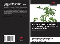 PRODUCTION OF TOMATO SEEDLINGS OF THE SANTA CLARA VARIETY kitap kapağı