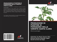 Bookcover of PRODUZIONE DI PIANTINE DI POMODORO DELLA VARIETÀ SANTA CLARA