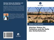 Welcher Status für Palästina und die Rolle des Sicherheitsrats kitap kapağı