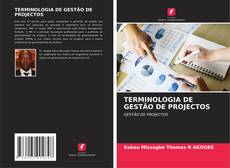 TERMINOLOGIA DE GESTÃO DE PROJECTOS的封面