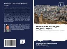 Обложка Потенциал наследия Медины Феса: