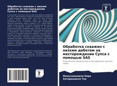 Buchcover von Обработка скважин с низким дебетом на месторождении Супса с помощью SAS