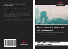 Master II thesis in finance and risk management kitap kapağı