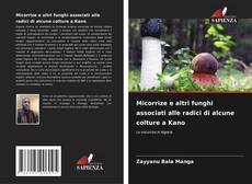 Bookcover of Micorrize e altri funghi associati alle radici di alcune colture a Kano