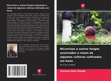 Bookcover of Micorrizas e outros fungos associados a raízes de algumas culturas cultivadas em Kano