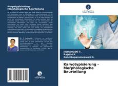 Portada del libro de Karyotypisierung - Morphologische Beurteilung