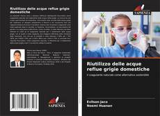 Riutilizzo delle acque reflue grigie domestiche kitap kapağı