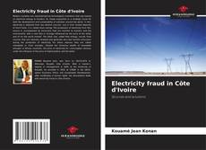 Portada del libro de Electricity fraud in Côte d'Ivoire