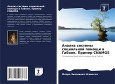 Copertina di Анализ системы социальной помощи в Габоне. Пример CNAMGS