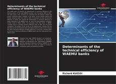 Copertina di Determinants of the technical efficiency of WAEMU banks