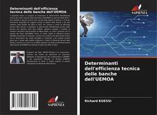 Determinanti dell'efficienza tecnica delle banche dell'UEMOA kitap kapağı