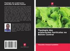 Bookcover of Tipologia das explorações hortícolas no Benim Central