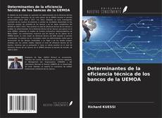 Copertina di Determinantes de la eficiencia técnica de los bancos de la UEMOA